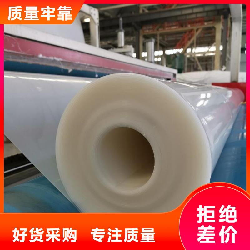 防水板玻璃纖維土工格柵廠家直銷規格多樣