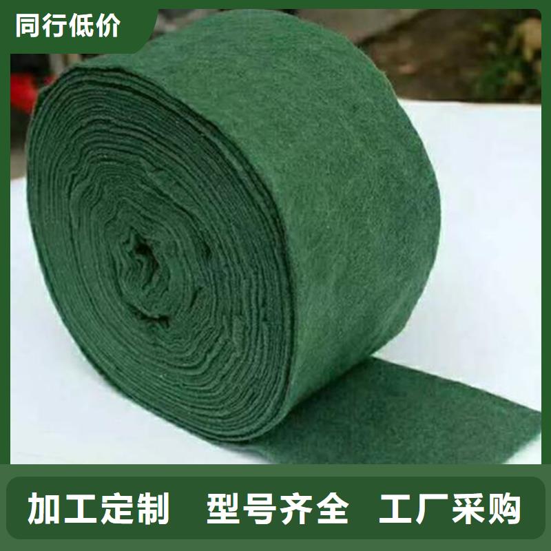 裹樹布-雙向塑料土工格柵實力廠家