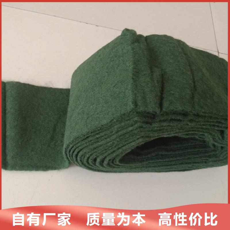 裹樹布玻璃纖維土工格柵多年行業(yè)積累