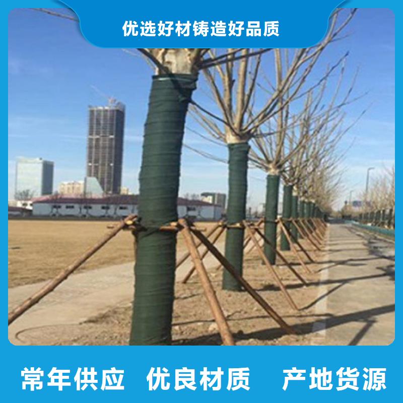 【裹樹布】【防裂貼】正規(guī)廠家
