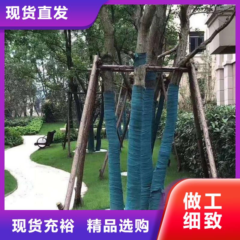 【裹樹布】【防裂貼】正規廠家