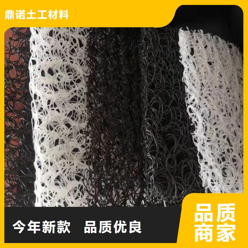 【土工席墊三維植被網專注產品質量與服務】