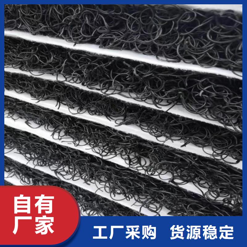 【土工席墊三維植被網專注產品質量與服務】
