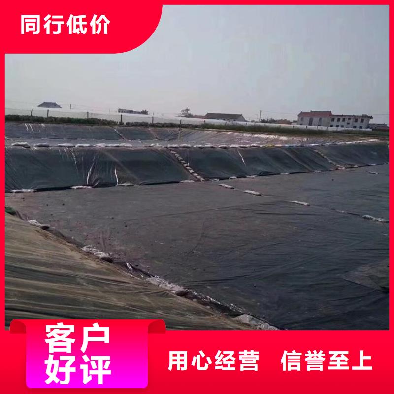 【土工膜】,排水板專業按需定制