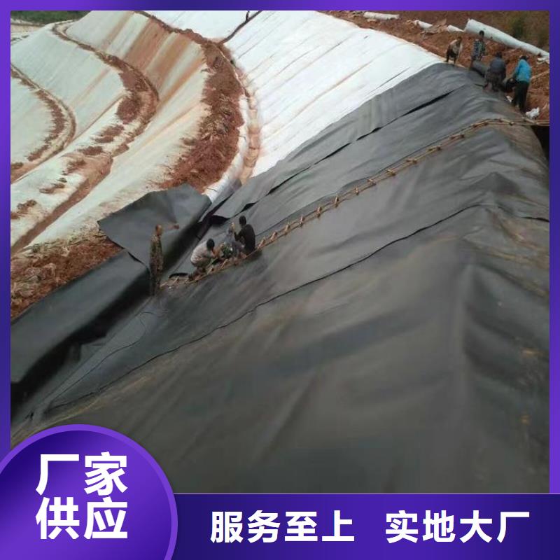 【土工膜】,排水板專業按需定制
