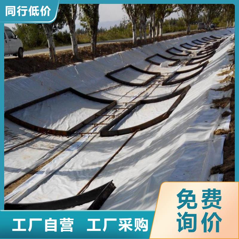 【土工膜】,排水板專業按需定制