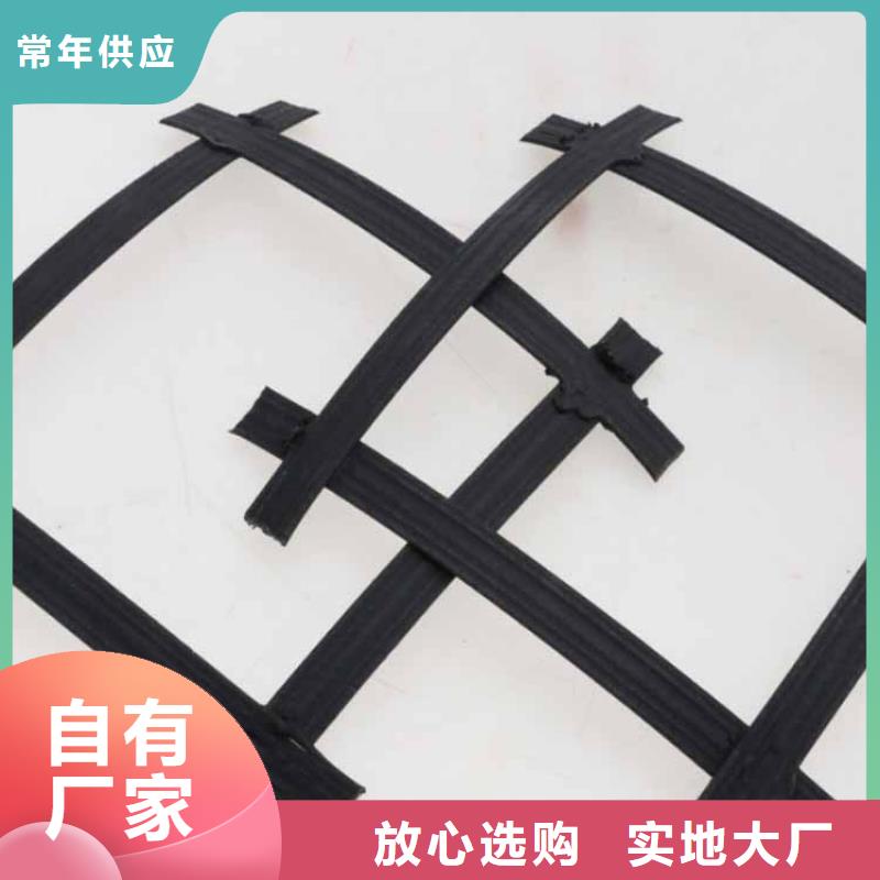 土工格柵【土工布】一周內發(fā)貨