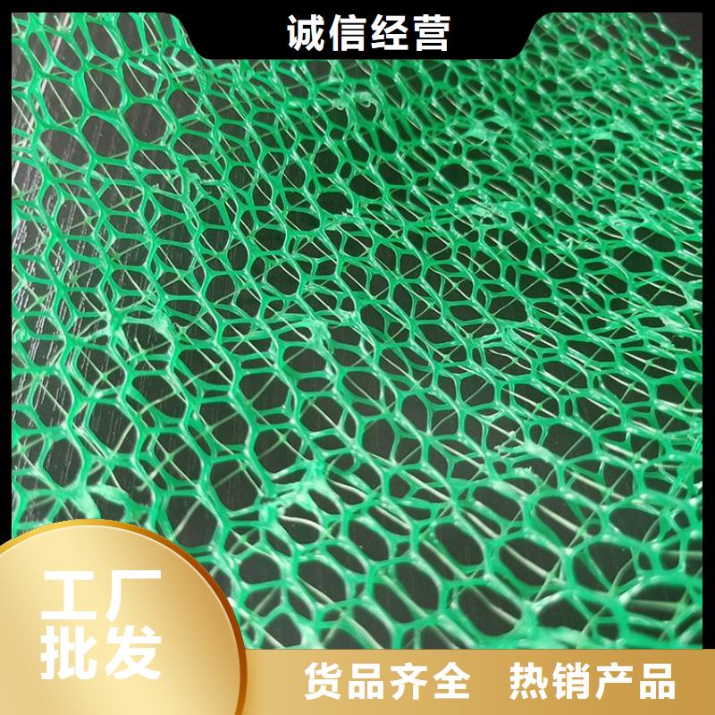 三維植被網土工布優良材質