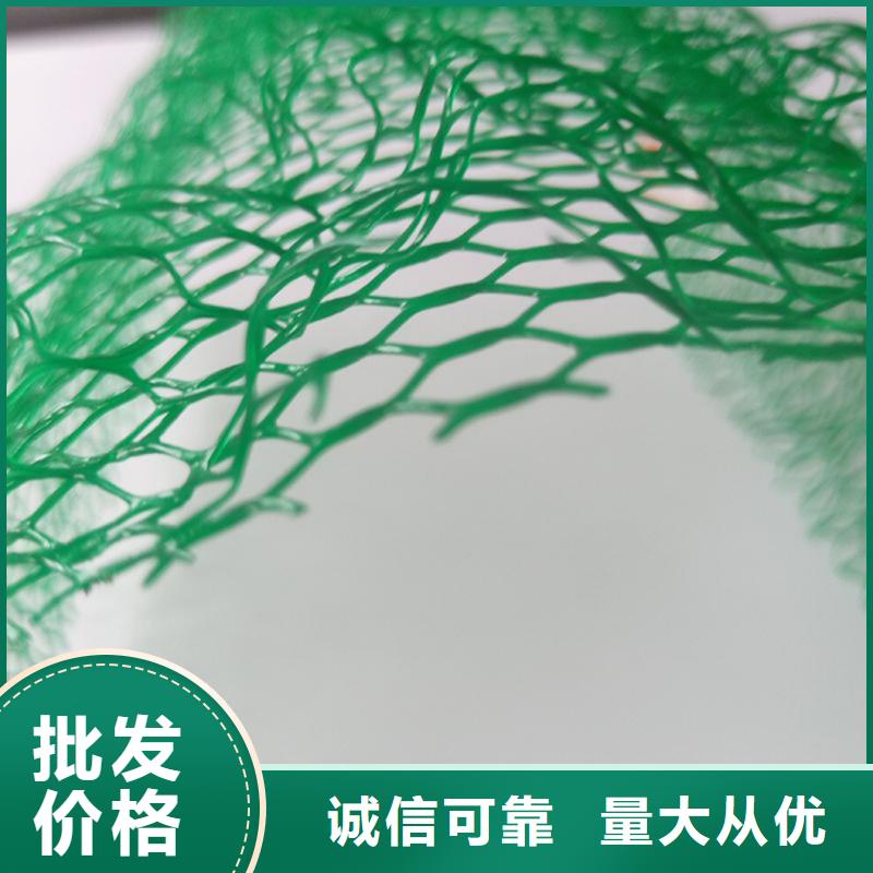 三維植被網(wǎng)防水板源頭廠家經(jīng)驗(yàn)豐富