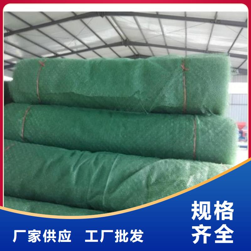 三維植被網,拉筋帶生產型