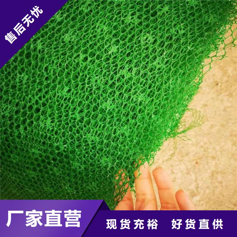 三維植被網軟式透水管自有廠家