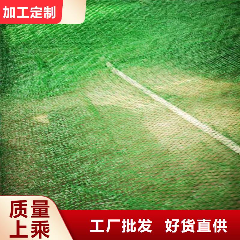 三維植被網土工格室設計制造銷售服務一體