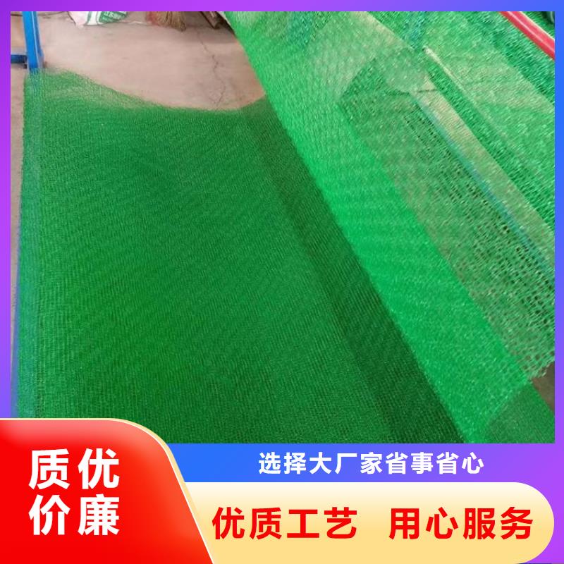 三維植被網,拉筋帶生產型