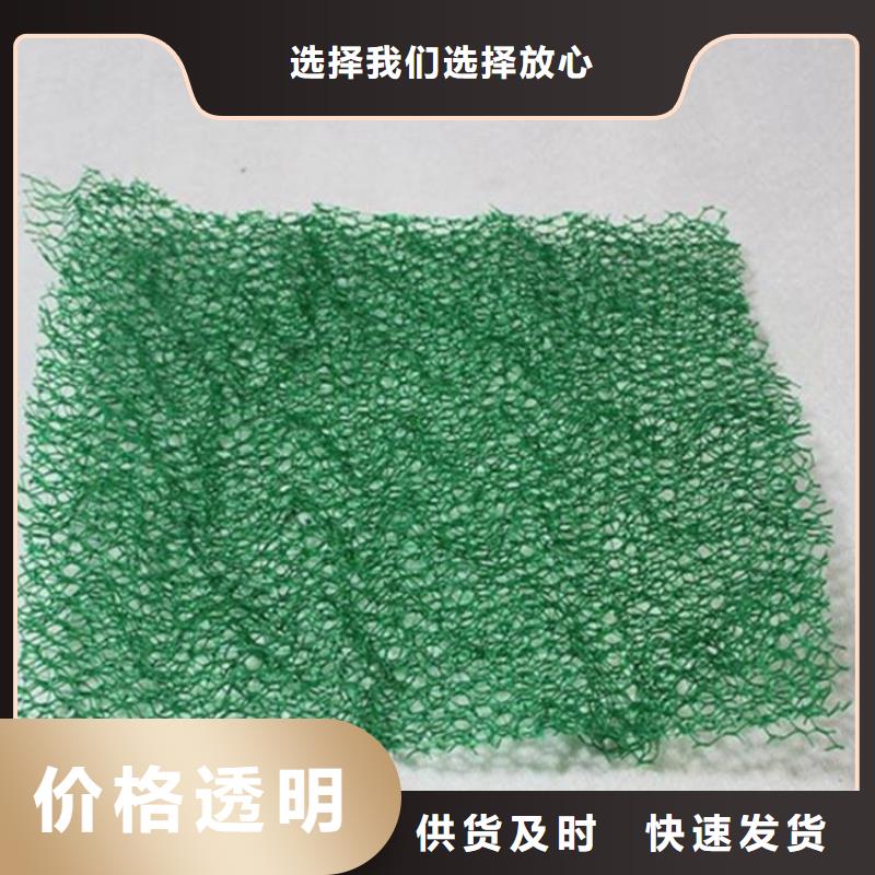三維植被網(wǎng)防水板源頭廠家經(jīng)驗(yàn)豐富