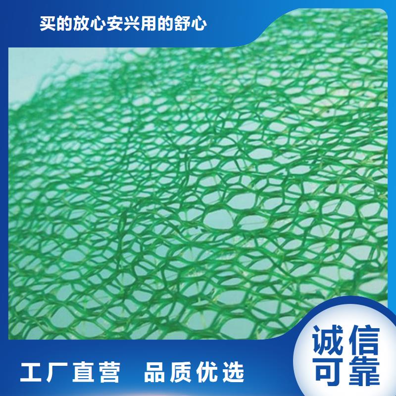 三維植被網,拉筋帶生產型