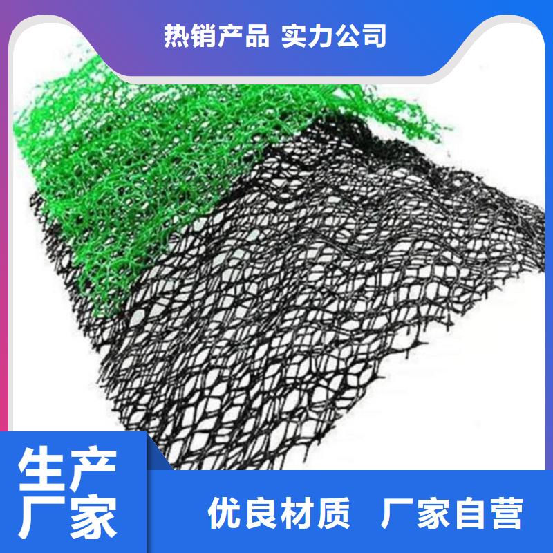 三維植被網(wǎng)玻纖土工格柵產(chǎn)品細(xì)節(jié)參數(shù)