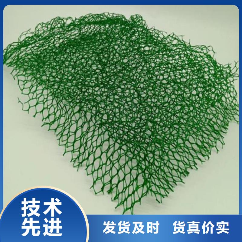 三維植被網(wǎng)_防滲膜定制不額外收費