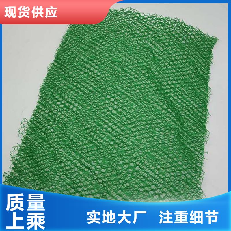 三維植被網土工格室設計制造銷售服務一體