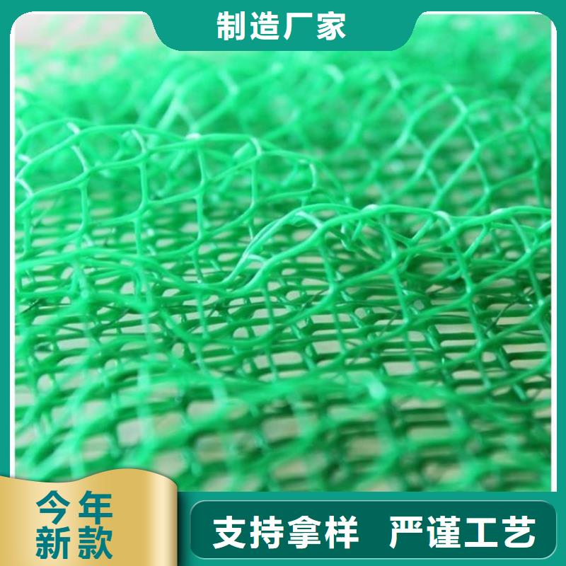 三維植被網軟式透水管自有廠家