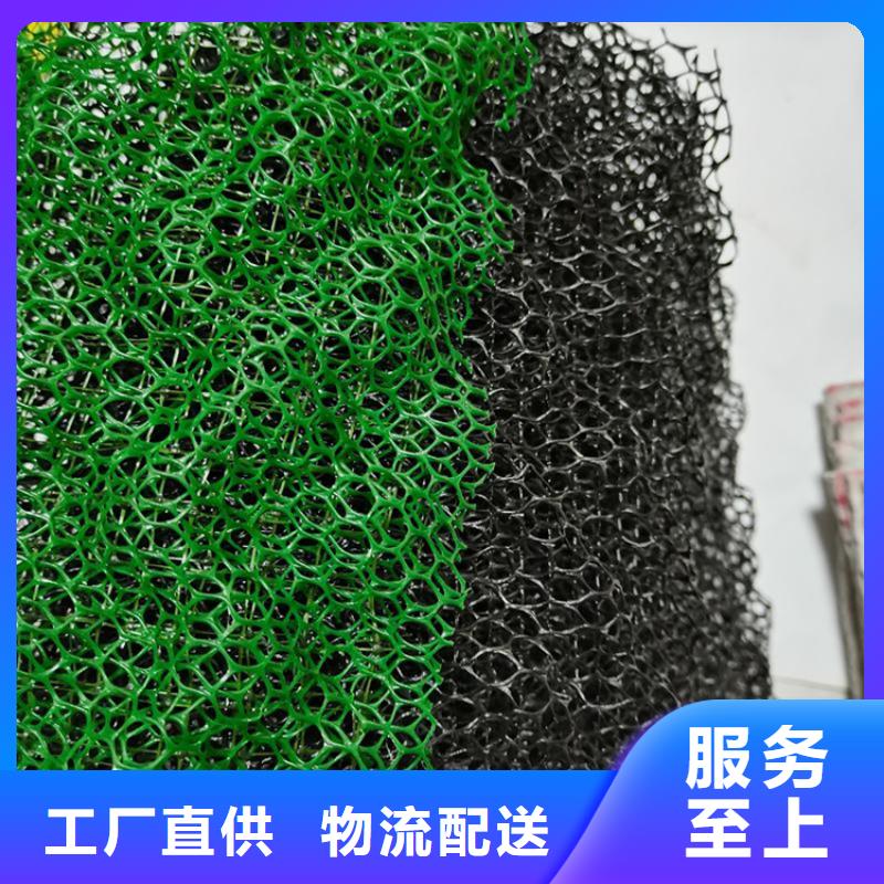 三維植被網鋼塑土工格柵免費回電
