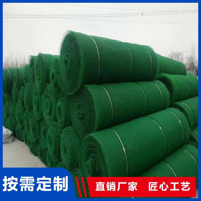 三維植被網土工布優良材質