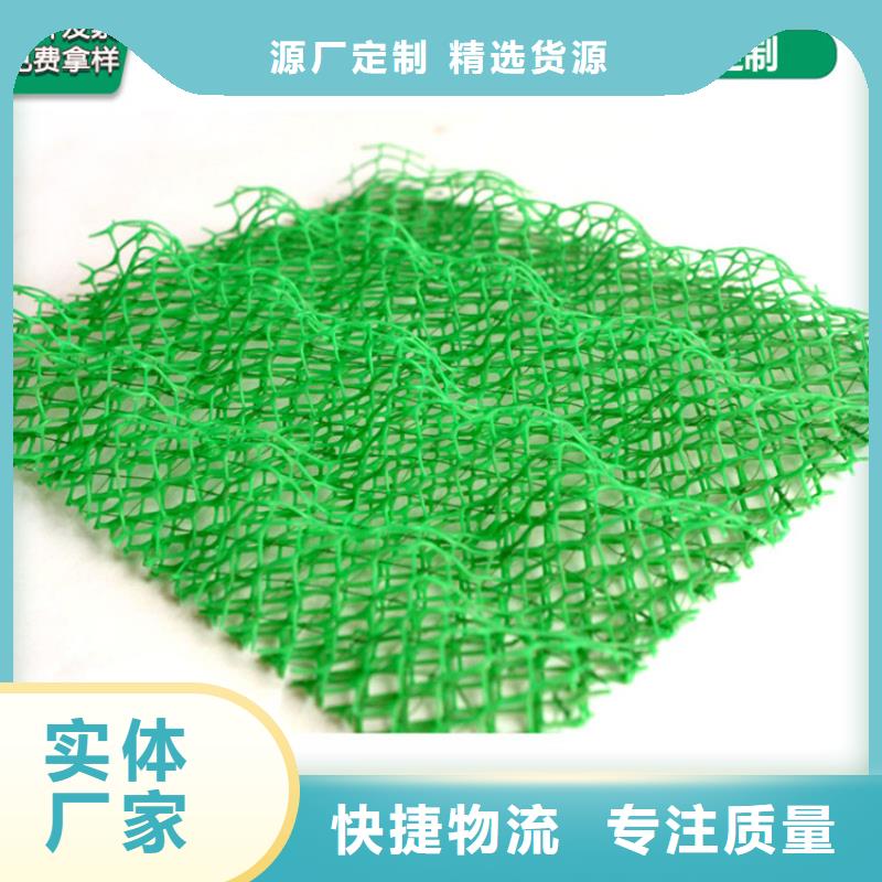 三維植被網HDPE土工膜的簡單介紹