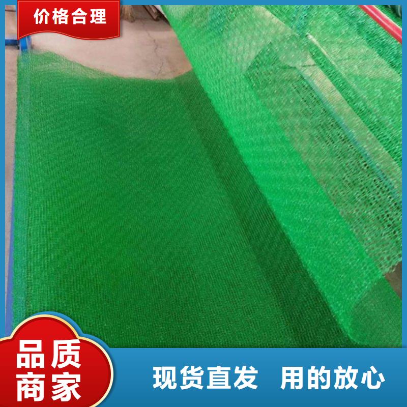 三維植被網鋼塑土工格柵免費回電