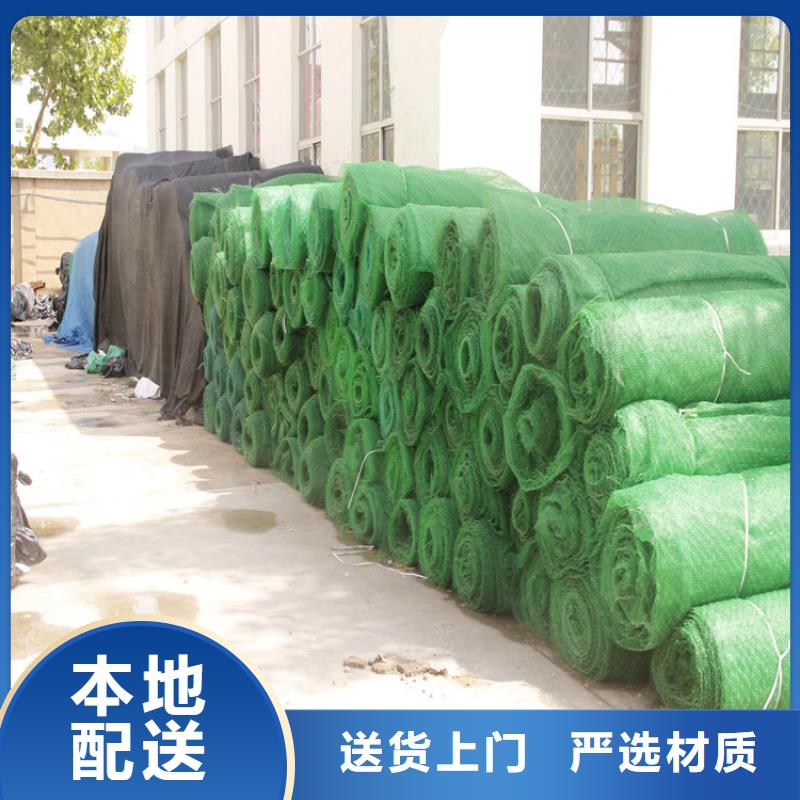 三維植被網(wǎng)_防滲膜定制不額外收費