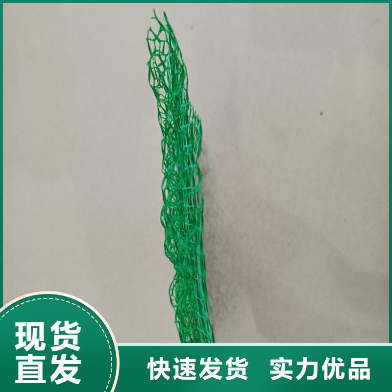 三維植被網(wǎng)玻纖土工格柵產(chǎn)品細(xì)節(jié)參數(shù)