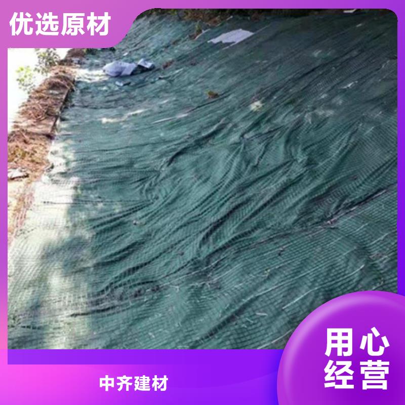 椰絲毯玻纖土工格柵自主研發