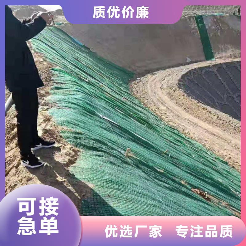 椰絲毯玻纖土工格柵自主研發