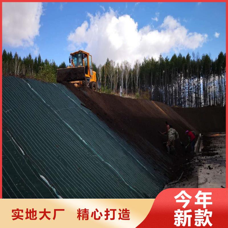 椰絲毯-防滲膜廠家直銷規格多樣