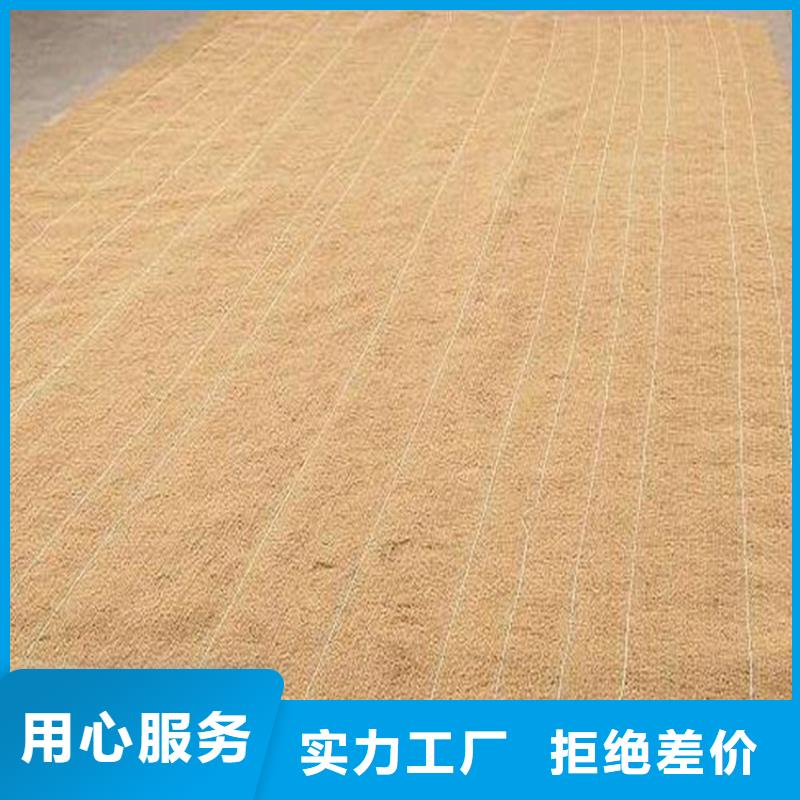 直销【中齐】椰丝毯HDPE土工膜N年大品牌