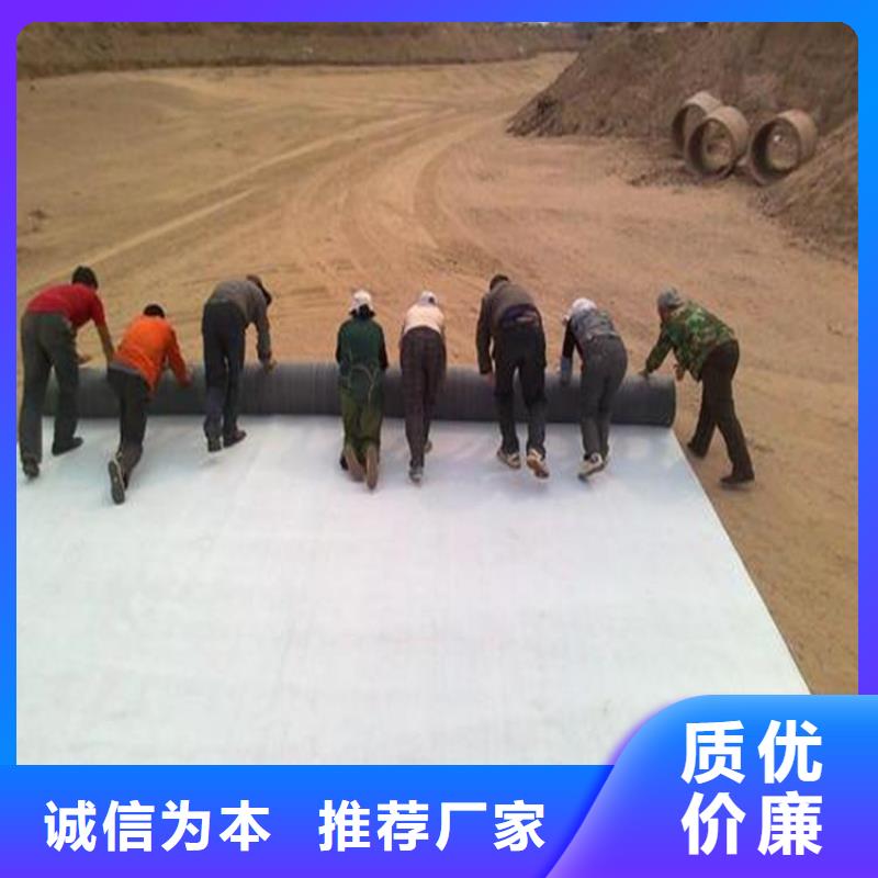 膨潤土防水毯土工布用心服務