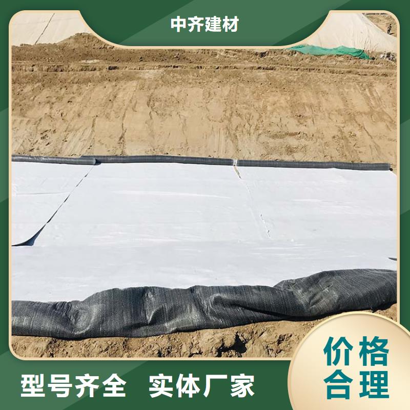 膨潤(rùn)土防水毯-聚酯布符合行業(yè)標(biāo)準(zhǔn)