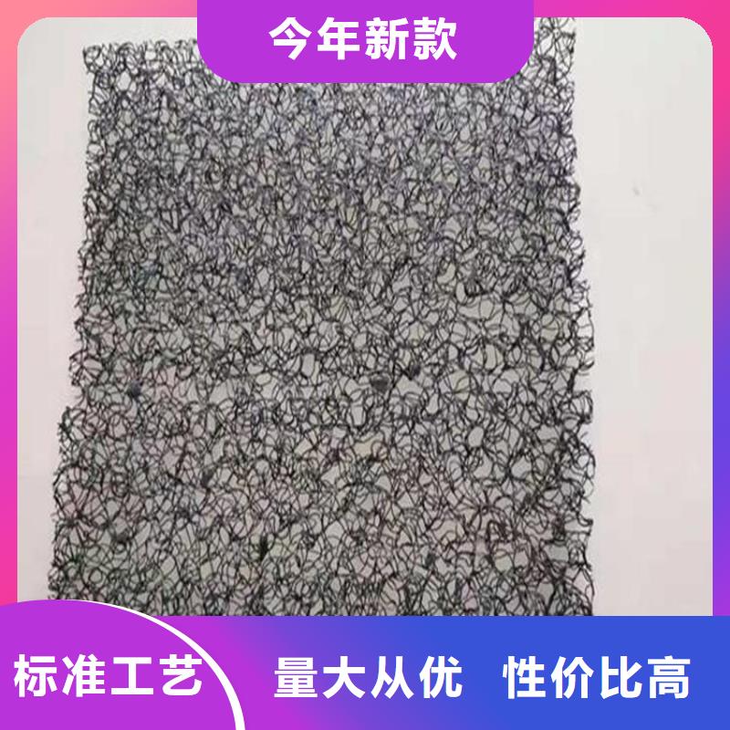 水土保護(hù)毯塑料盲溝廠家直銷規(guī)格多樣