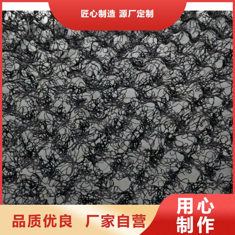 水土保護(hù)毯塑料盲溝廠家直銷規(guī)格多樣