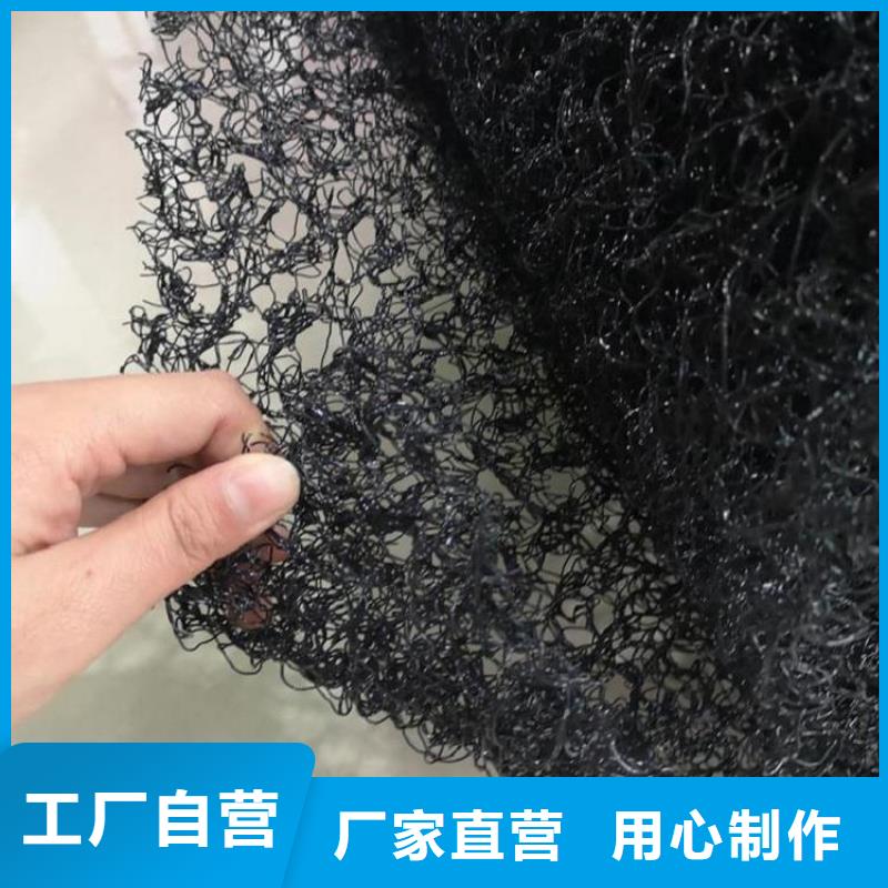 水土保護毯雙向塑料土工格柵專業生產廠家