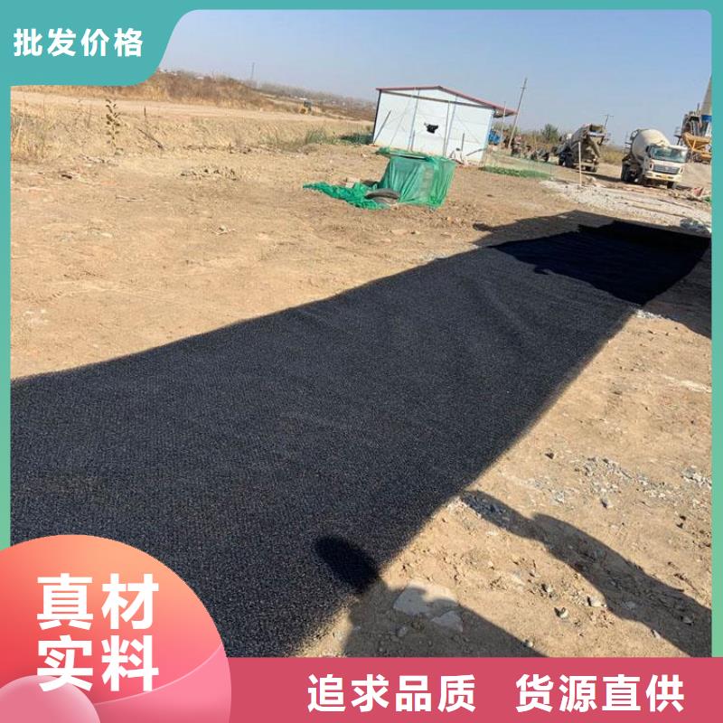 水土保護毯土工膜來圖加工定制