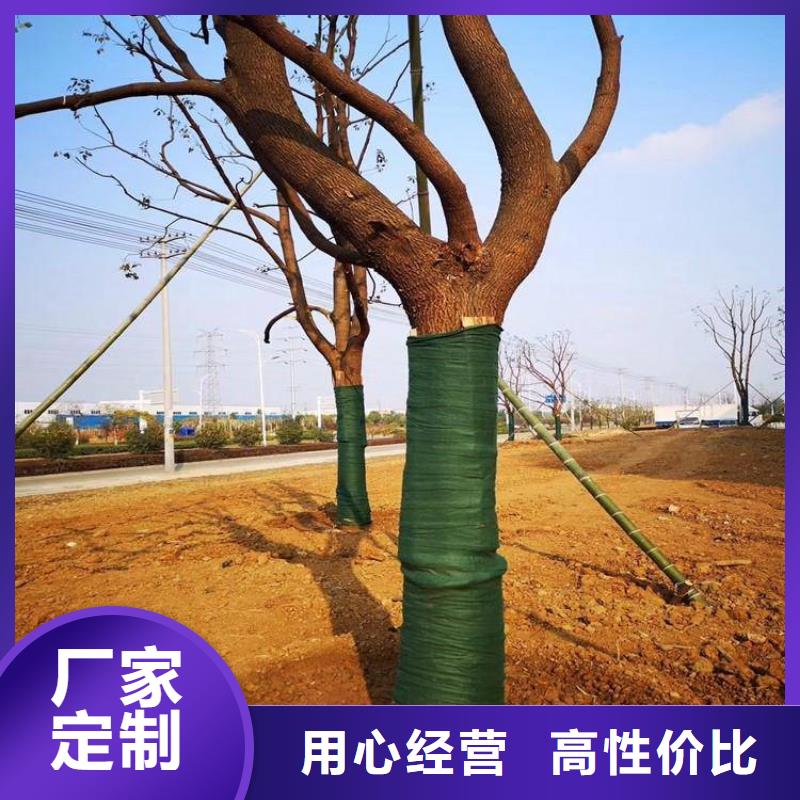 裹樹布編織布廠家現(xiàn)貨供應(yīng)