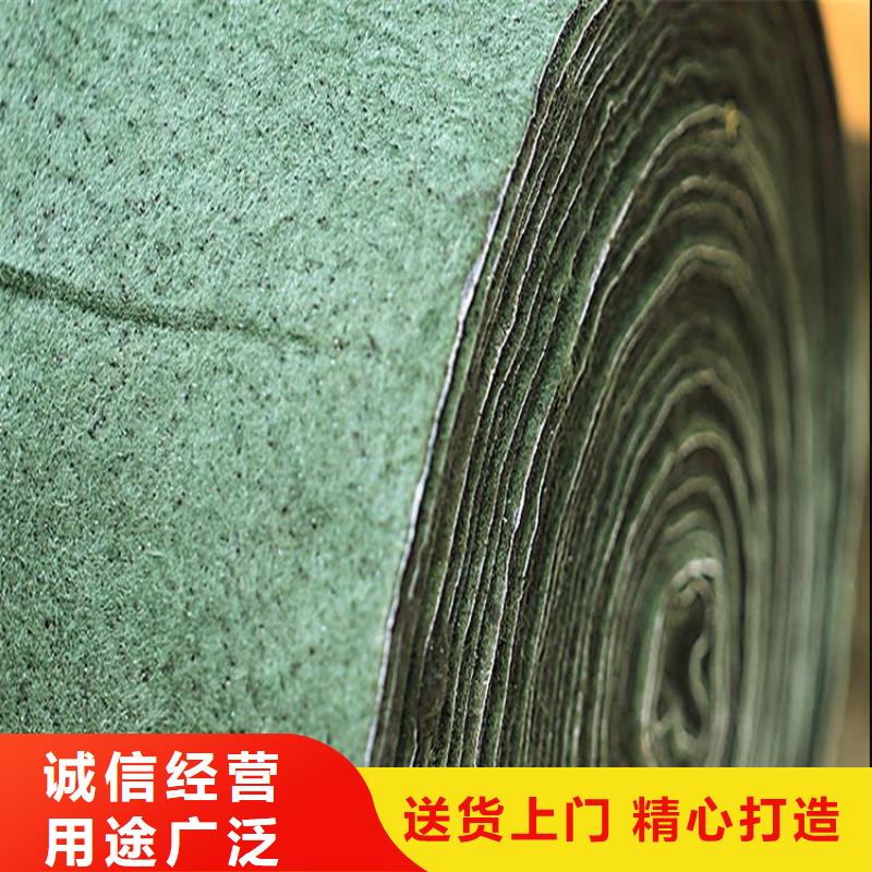裹樹布玻璃纖維土工格柵多年行業(yè)積累