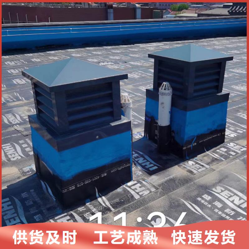成品止回式風帽靠譜廠家