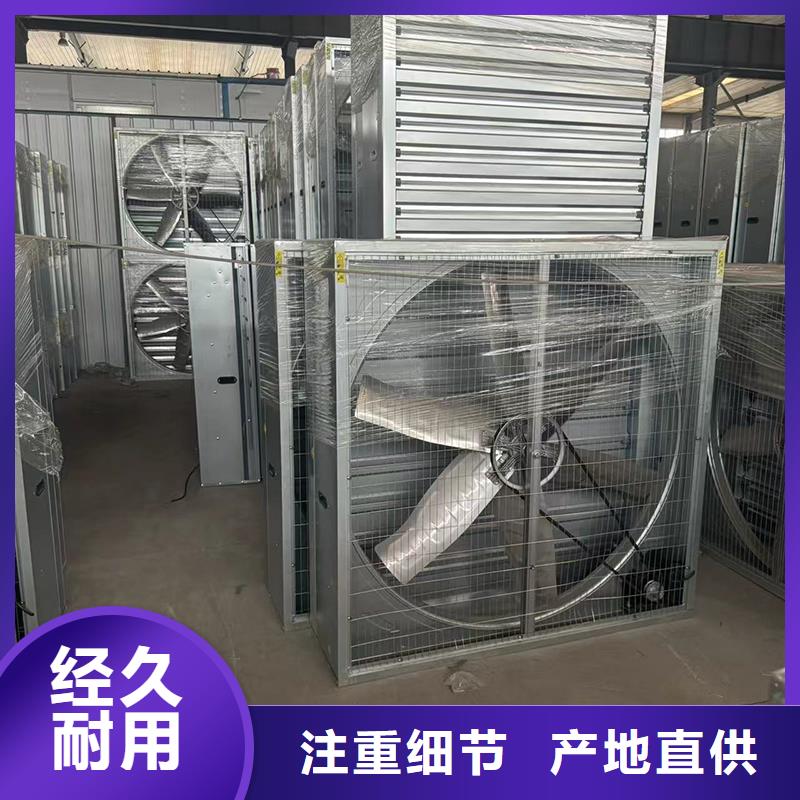 負壓風帽多樣化風格實體廠家