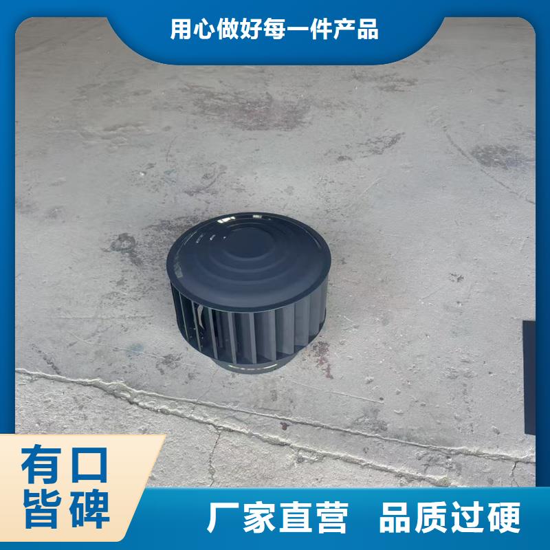 F-FM-WM型風帽價格實惠