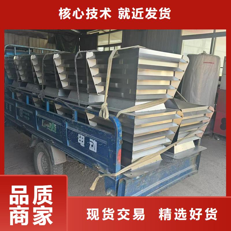 澄邁縣A系列直徑300BPS型風帽歡迎您的咨詢