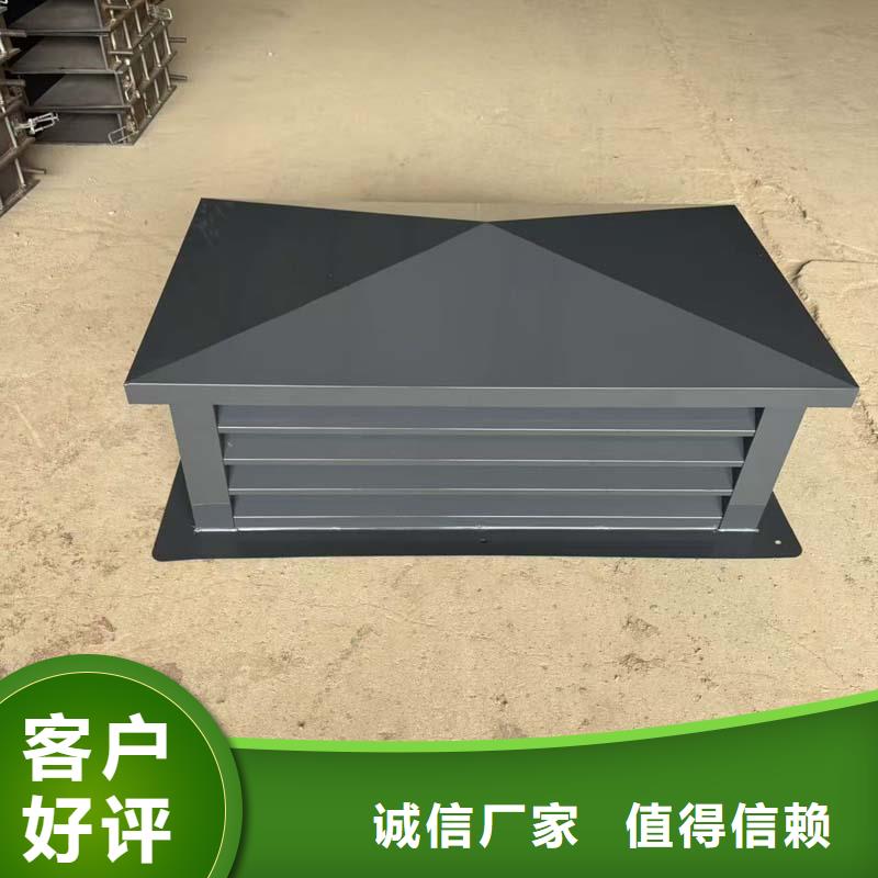 A系列排氣道風帽實力老廠