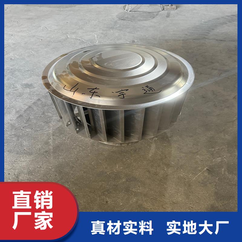 成品固定式煙囪帽廠家供應(yīng)