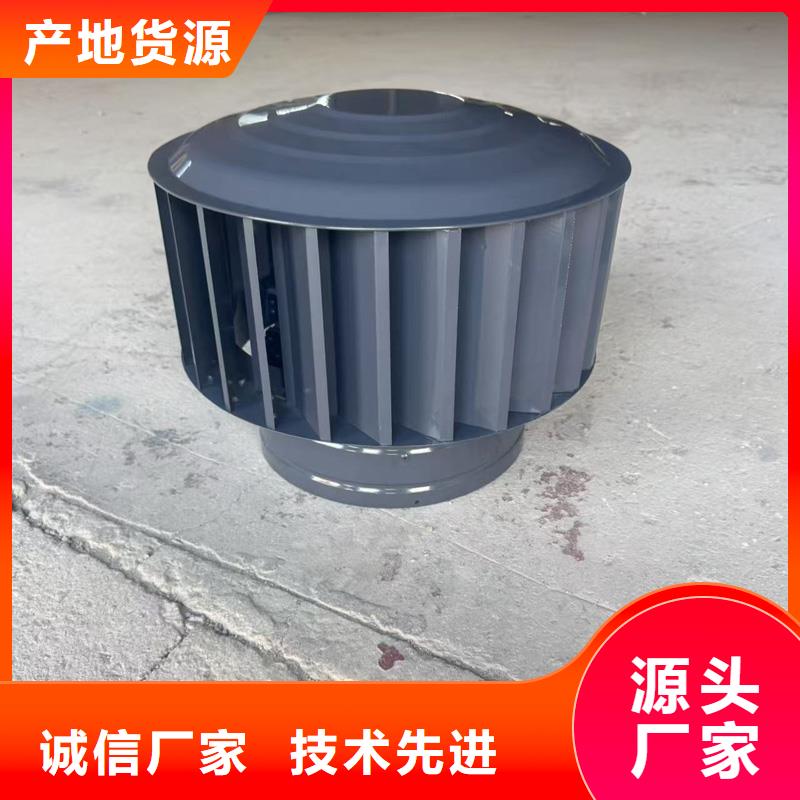 A系列排氣道風帽實力老廠