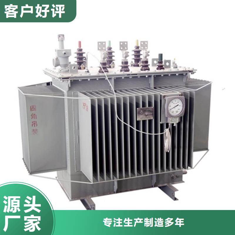 油浸式變壓器_變壓器廠支持批發(fā)零售