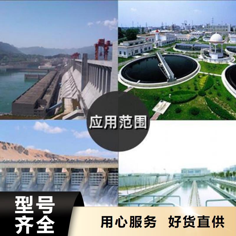 截流井閘門渠道鑄鐵閘門品質之選